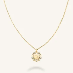 Rosefield Coin Drop Necklace Online