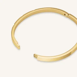 Rosefield Lines Crystals Bangle Hot